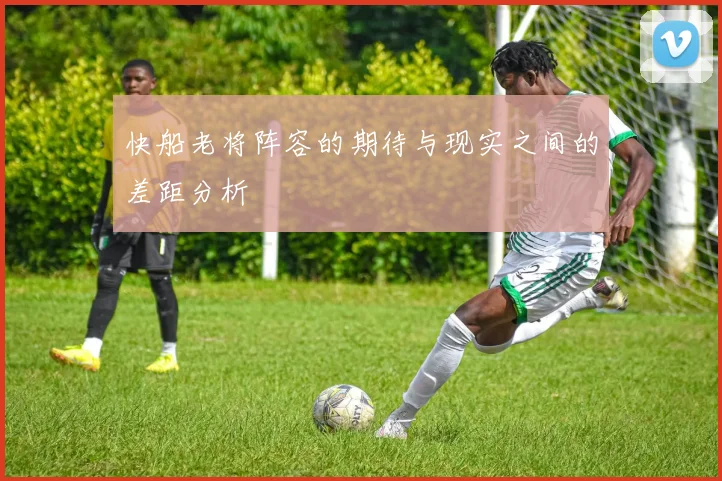 快船老将阵容的期待与现实之间的差距分析