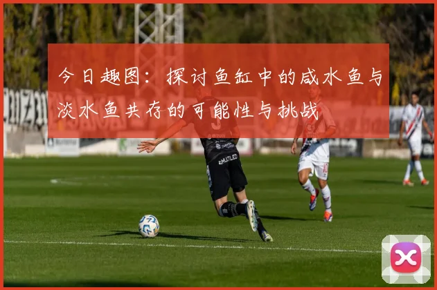 今日趣图：探讨鱼缸中的咸水鱼与淡水鱼共存的可能性与挑战