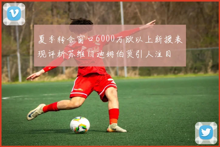 夏季转会窗口6000万欧以上新援表现评析苏维门迪姆伯莫引人注目